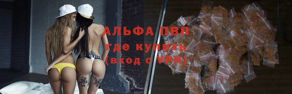 спиды Алзамай