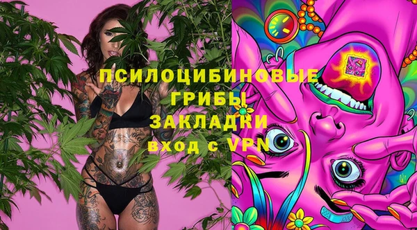 спиды Алзамай