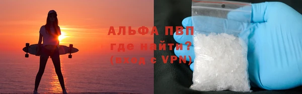 спиды Алзамай